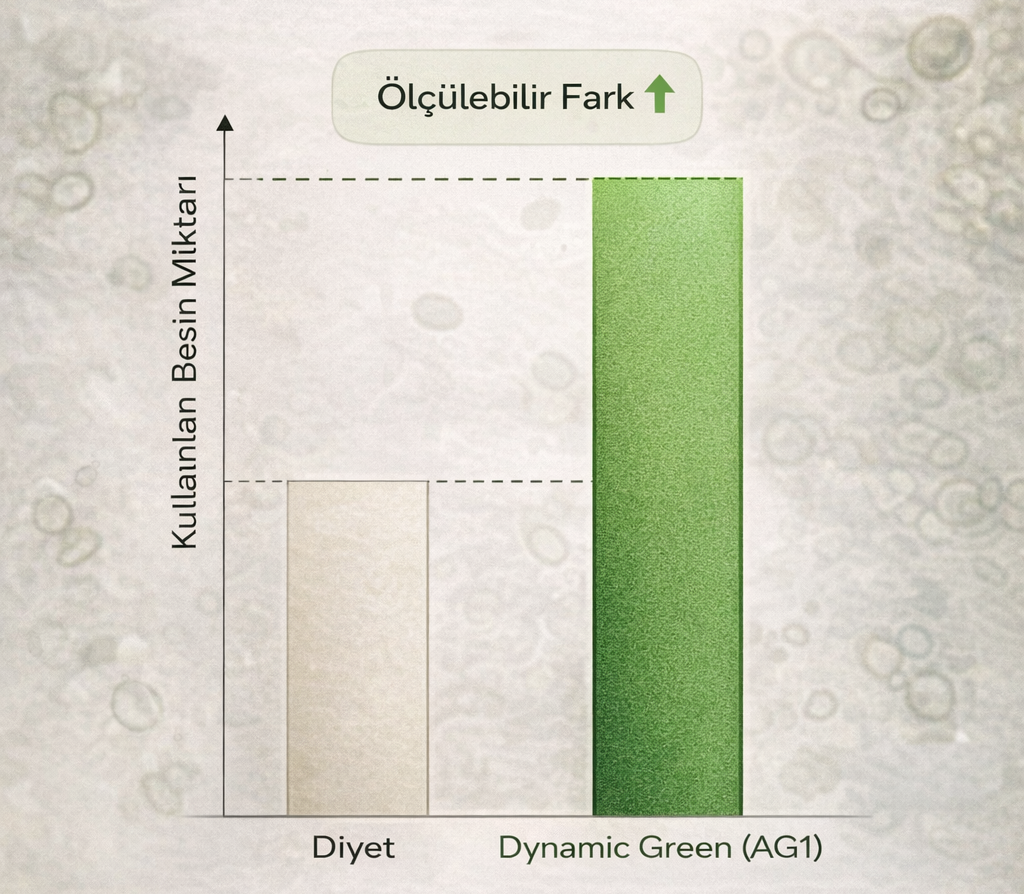 Dynamic Green 3 ay içinde temel besin seviyelerini iyileştirmeye yardımcı olur.